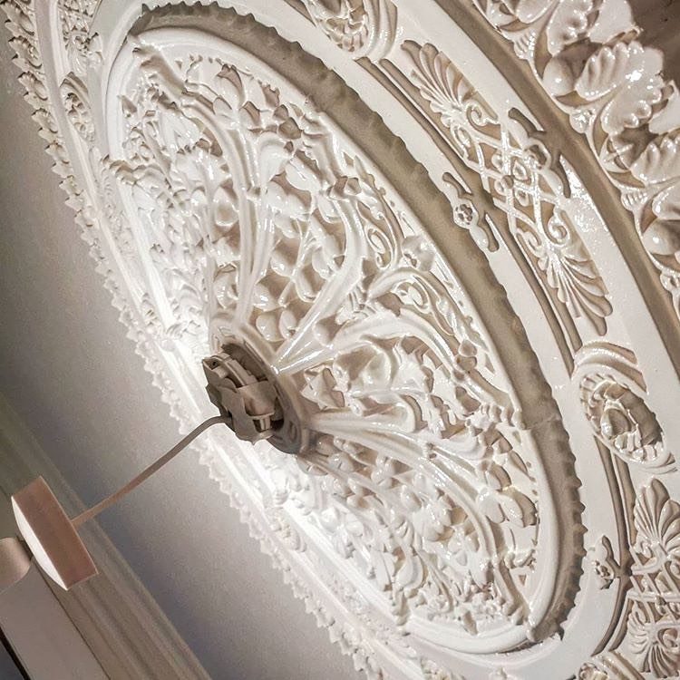 Ceiling rose and cornice